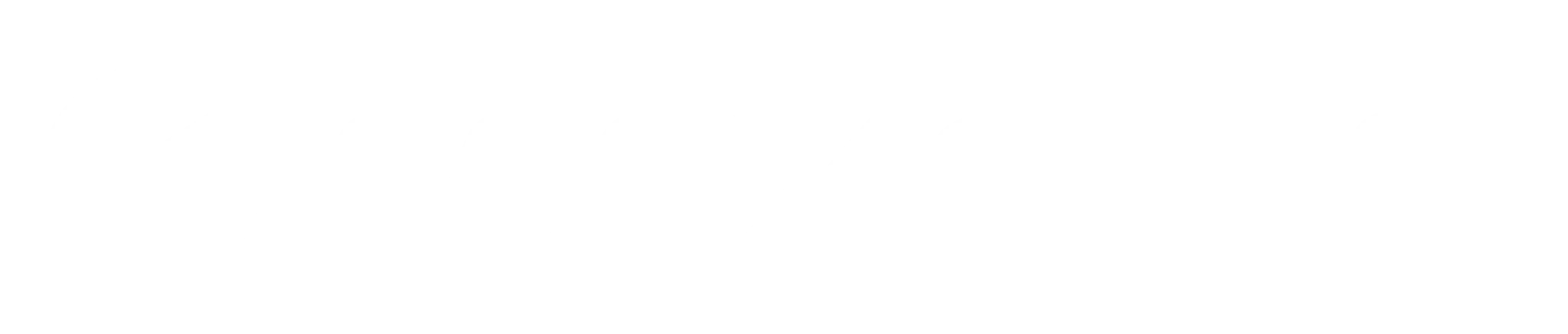 MAXSUN